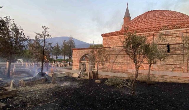 Çanakkale’deki orman yangınında tarihi mezarlar zarar gördü