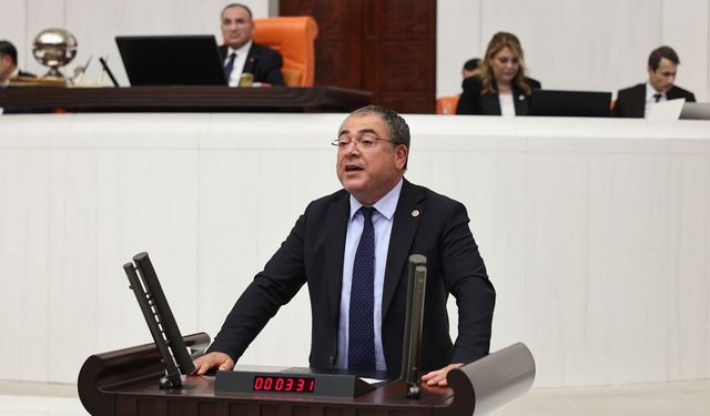 CHP'li Karakoz: Elektrik şirketleri yerine vatandaşı koruyun!