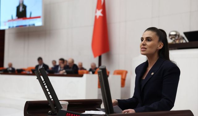CHP'li Özcan: Kıyılar halkın iradesine kapatılıyor