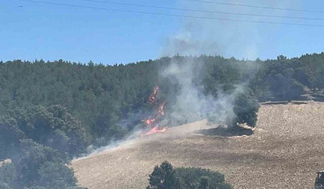 Gediz’de ekiplerin orman yangınıyla mücadelesi sürüyor