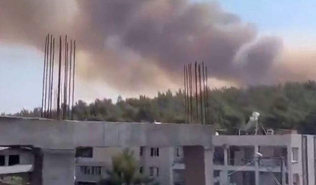 İzmir Gaziemir'de orman yangını başladı!