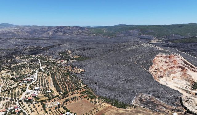 İZPA İzmir’in orman yangını risk haritasını oluşturdu