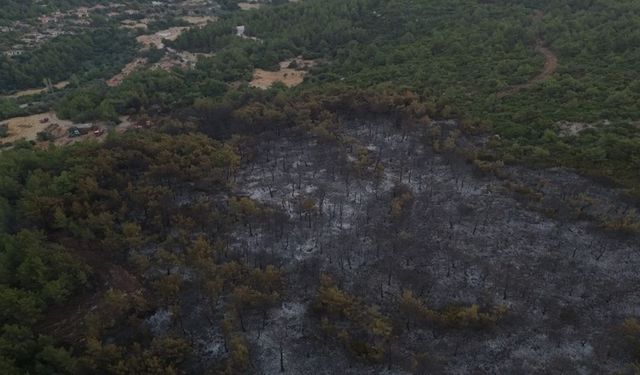 Urla’daki orman yangını kontrol altına alındı