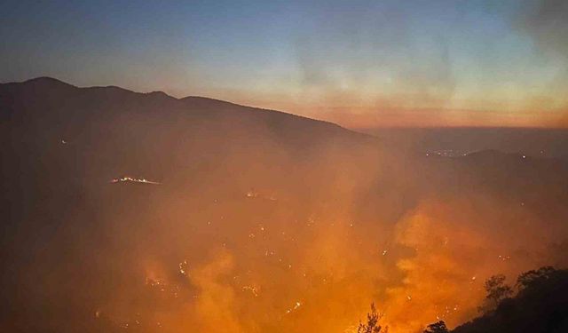 Uşak’ta 21 ev ve 1 çiftlik boşaltıldı