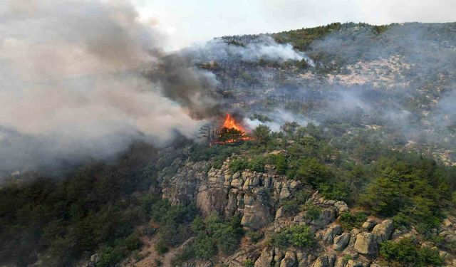 Yangın bölgesi havadan görüntülendi