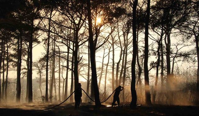 Çanakkale yangınında sondakika... Büyük ölçüde kontrol altına alındı