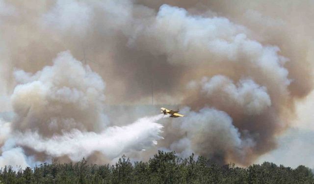 Çanakkale’de alevler yeniden yükseldi, havadan karadan müdahale sürüyor