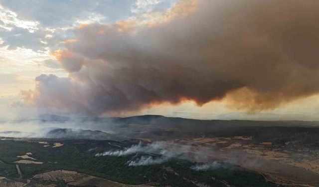 Çanakkale’de devam eden yangın nedeniyle Tarihi Alan’ın kuzey hattı geçici süreyle kapatıldı