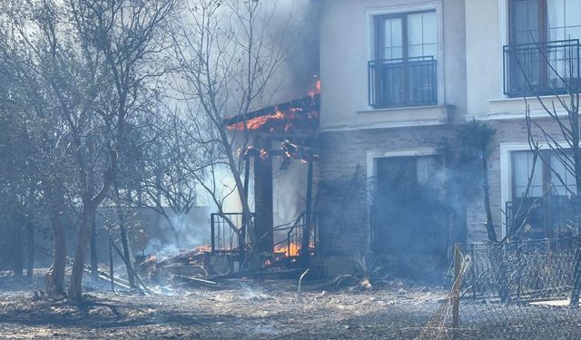Çanakkale’de orman yangını devam ediyor