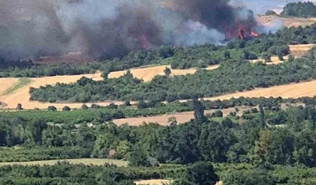 Çanakkale’de tarım arazisinde başlayan yangın ormanlık alana sıçradı