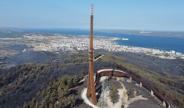 Çanakkale’deki yangından acı tablo kaldı
