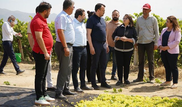 CHP’li Arpacı: TARİŞ algı yapıyor, üretici de tüketici de mutsuz