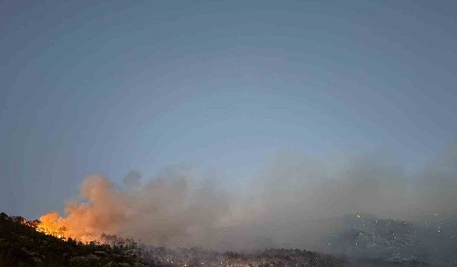 Denizli’deki orman yangını kontrol altına alındı