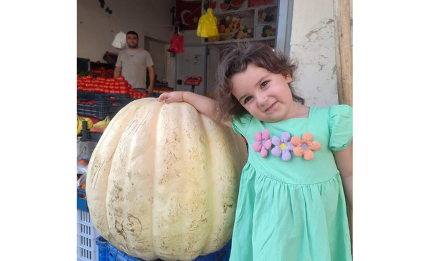 Manisa’da 85 Kiloluk Dev Bal Kabağı Görenleri Şaşırttı