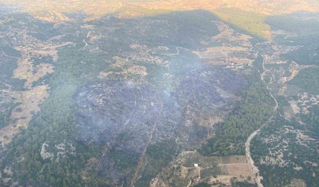 Muğla’daki orman yangını kontrol altına alındı
