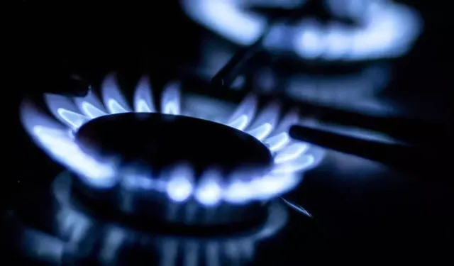 TÜİK açıkladı! Doğal gaz cep yakıyor