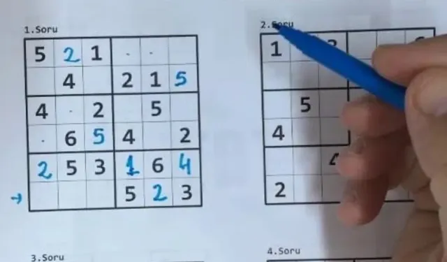 Unutkanlığa karşı bulmaca yerine sudoku çözün!