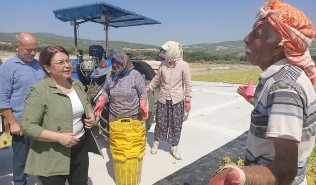 Üzüm üreticileri isyan etti: “Düzeltemiyorsanız istifa edin gidin!”