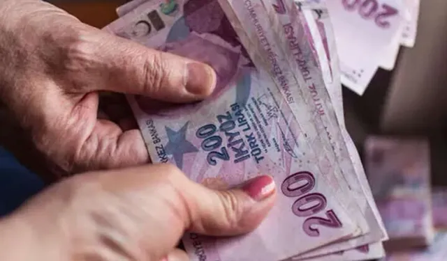 7,1 milyar TL'lik yaşlı ve engelli aylıkları hesaplarda