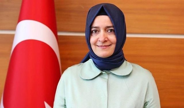 AK Parti Genel Başkan Yardımcısı Kaya'dan açıklama