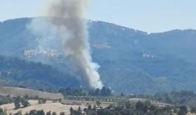 Buldan’daki orman yangınına havadan müdahale başladı