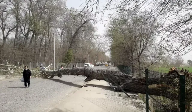 Meteoroloji’den Marmara’ya fırtına uyarısı