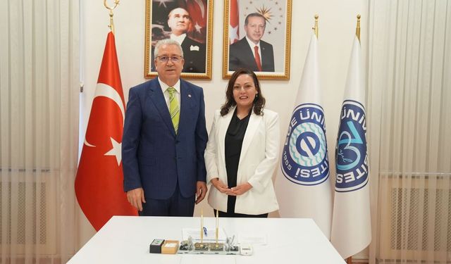 Antikanser sentezlenmesine yönelik Uluslararası Patent