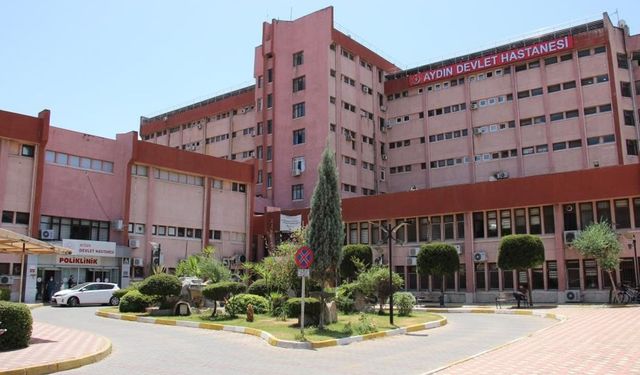 Aydın'da uyuz alarmı! Vakalar salgın boyutuna ulaştı!