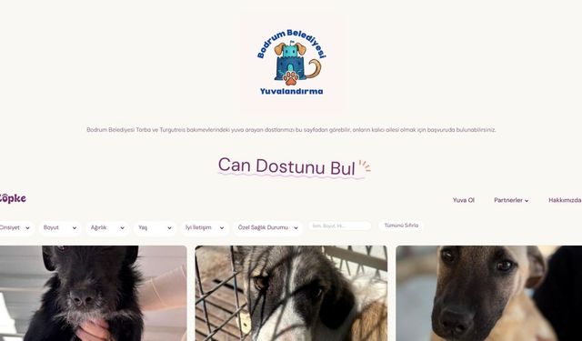 Bodrum Belediyesi yuvalandırma platformu hayata geçti