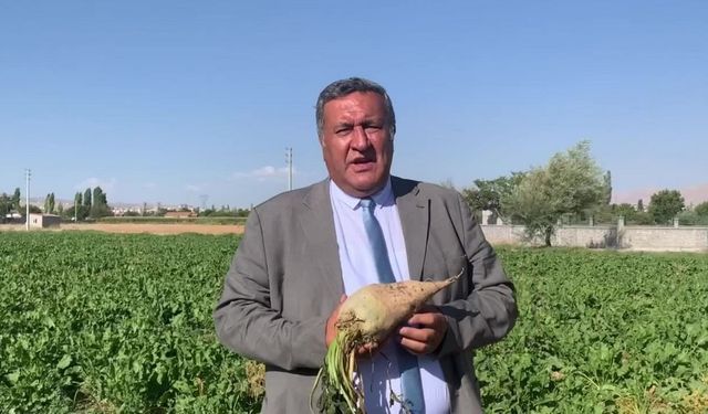 CHP Gürer:  Şekerpancarı alım fiyatı çiftçiyi mutlu etmedi