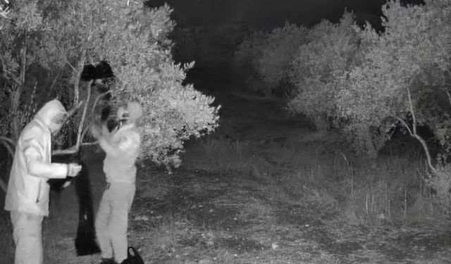 Didim'de kaçak kazı operasyonu: 4 kişi yakalandı