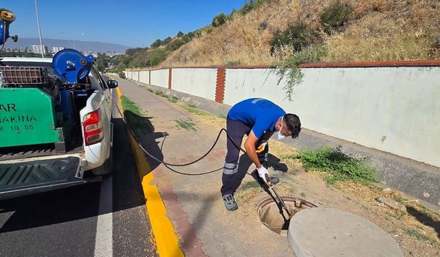 Efeler belediyesi kent zararlarına karşı mücadele ediyor