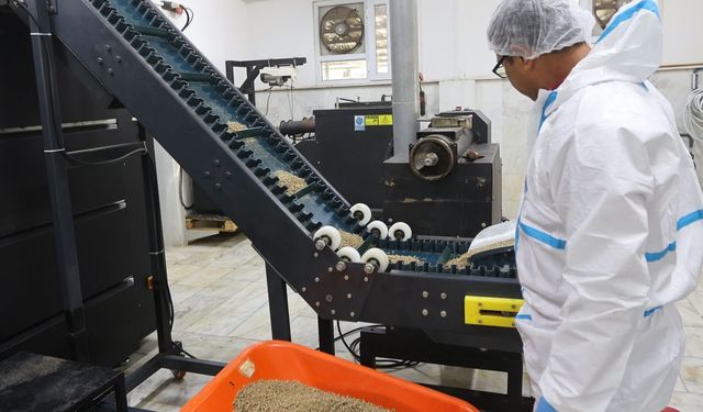 Muğla BŞB'den sokak hayvanlarına örnek davranış