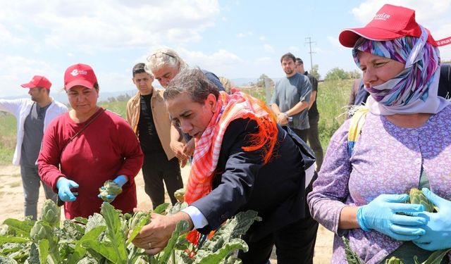 Efeler Belediyesi'nden örnek proje