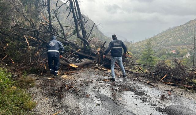 Marmari̇s Beledi̇yesi̇ eki̇pleri̇ni̇n yağmur mesaisi