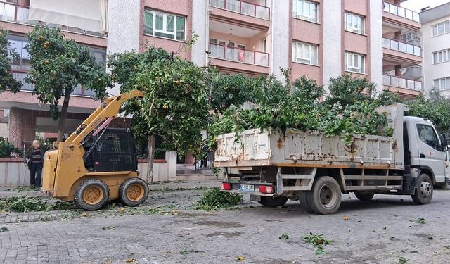 Efeler'in ekipleri daha yeşil bir kent için çalışıyor