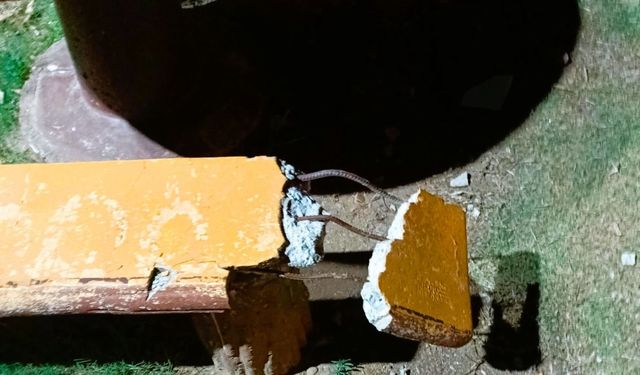 Efeler'in parklarına zarar verenler tespit edilecek