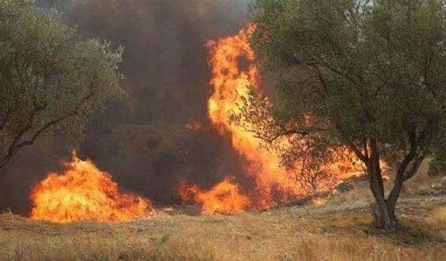 Ege'de yangın alarmı..!