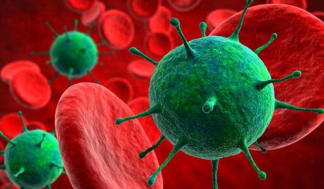 H3N2 grip virüsü Türkiye'ye geliyor