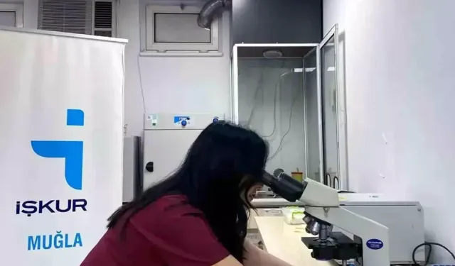 Muğla'da 13 bin 698 kadın sahibi oldu