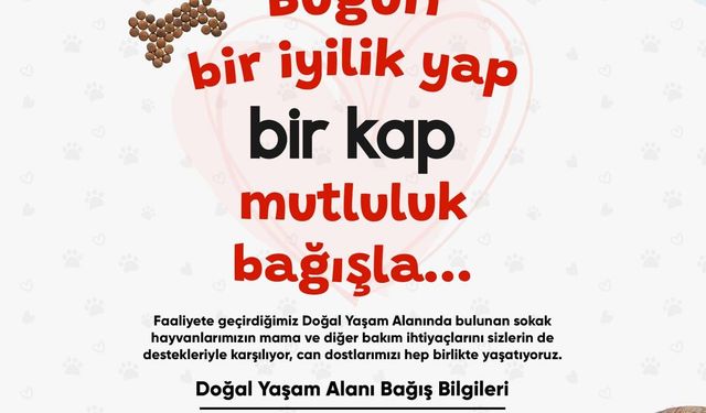 Turgutlu Belediyesinden sahipsiz dostlar için anlamlı kampanya