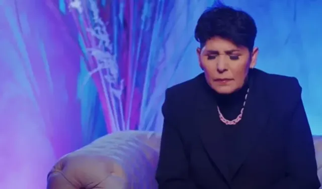 Ünlü sanatçı Cansever'e lösemi teşhisi konuldu