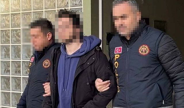 Cumhurbaşkanına hakaret iddiası yargıya taşındı!