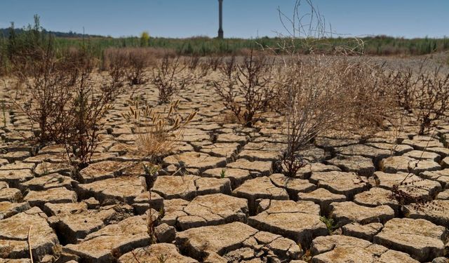 İzmir barajlarında son durum: Kritik seviyeler sürüyor
