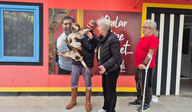 Sevgi kazandı: 'Lady' mutlu sona ulaştı