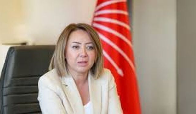 CHP'li Çiftci'den Açıklama: 'Yargı Eliyle Rejim Kuruluyor'