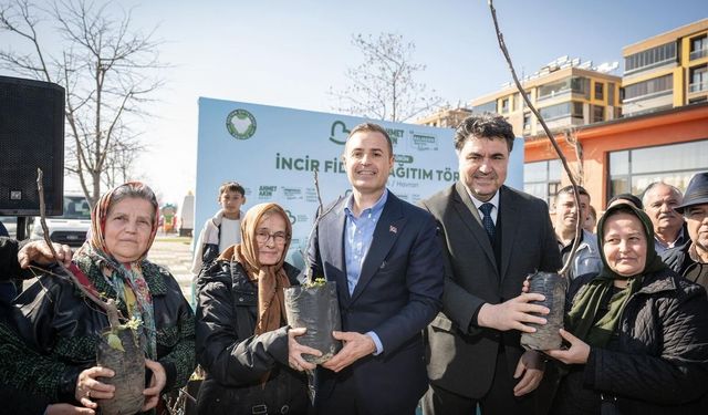 Akın'dan üreticilere yüzde 100 hibeli incir fidanı desteği