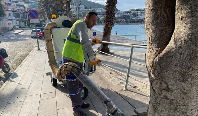 Bodrum Belediyesi Plajları Yaza Hazırlıyor