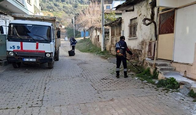 Efeler Belediyesi'nin yeşil ekipleri çalışmalarına devam ediyor