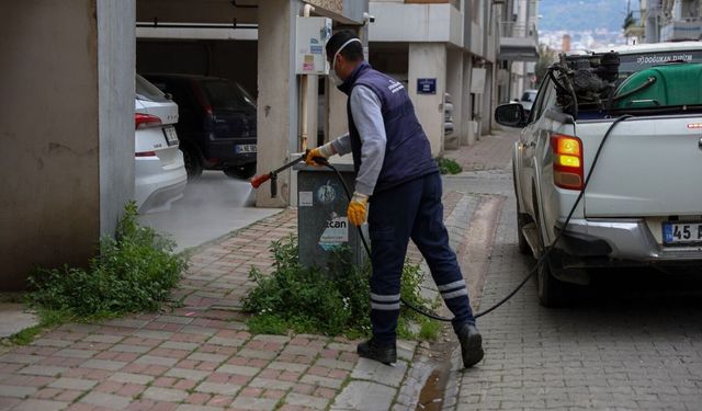 Efeler Belediyesi halk sağlığı ve kent estetiği için çalışmalarını sürdürüyor